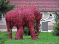 Házi mamut