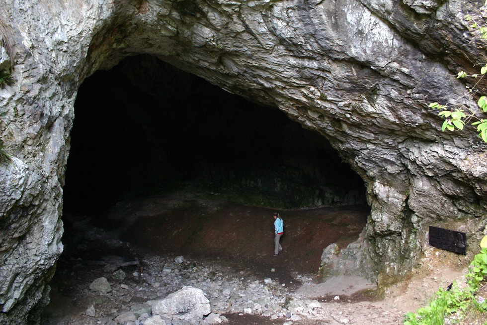 Szeleta-barlang (Felshmor)...
