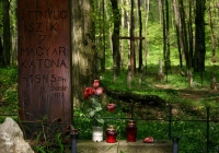2009-04-18 Körtvélyesi erdei temető (Vértes-hg)