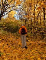 2009-10-31 Az ősz színei a Puskaporos-hegyen1 (Lillafüred-Miskolc)