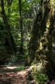 A sűrű, árnyat adó erdővel fedett völgyben a Szár (Blatnica)-patak csobogását komor sziklafalak visszhangozzák